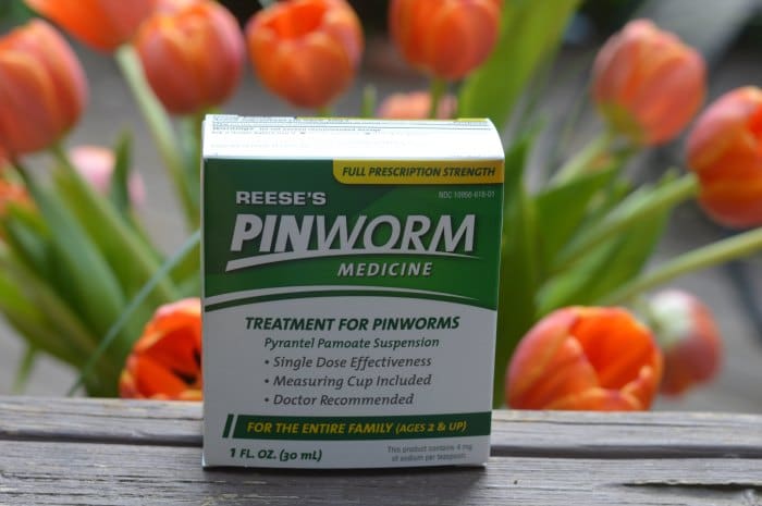 Can Pinworm Treatments Resolve Itching Within Days