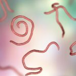 Why Pinworm Treatments Need Strict Hygiene Support
