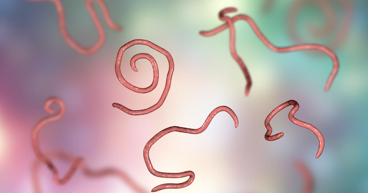 Why Pinworm Treatments Need Strict Hygiene Support