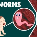 How Pinworm Treatments Support Long-Term Prevention